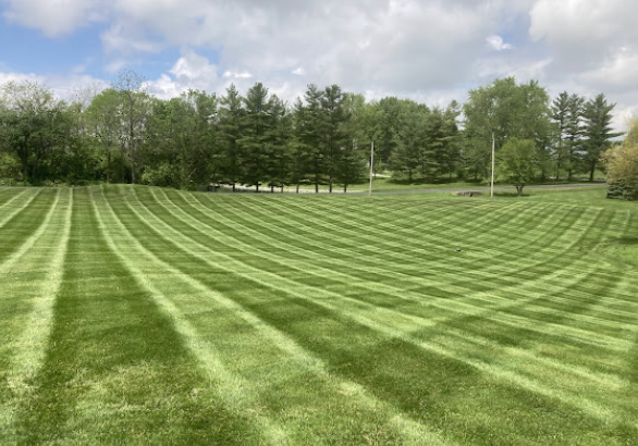 Striped lawn mowing pattern by Fine Line Lawn Care